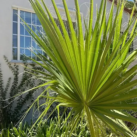 Сasa de vacaciones Casa Paraiso Living Cuisine 2 Chambres, Salle De Bains, Espaces Extérieurs Privés, Grande Piscine Et Jardins Partagés, à Proximité Des Plages De Fuseta Et De La Ria Formosa Moncarapacho