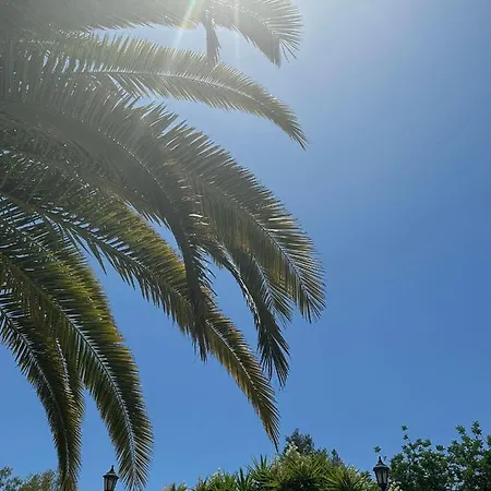 בית נופש Casa Paraiso Living Cuisine 2 Chambres, Salle De Bains, Espaces Exterieurs Prives, Grande Piscine Et Jardins Partages, A Proximite Des Plages De Fuseta Et De La Ria Formosa מונקאראפאצ'ו