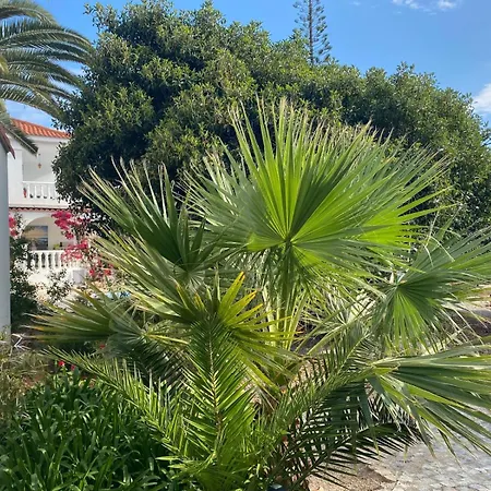 Casa Paraiso Living Cuisine 2 Chambres, Salle De Bains, Espaces Exterieurs Prives, Grande Piscine Et Jardins Partages, A Proximite Des Plages De Fuseta Et De La Ria Formosa Дом отдыха